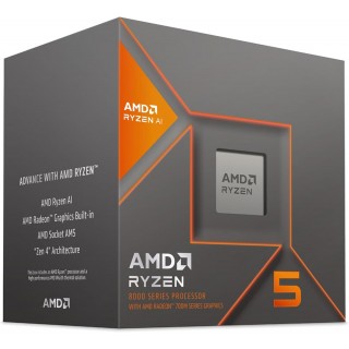 M　4箱 AMD Ryzen 5 8600G - Ryzen 5 8000-G Series Phoenix (Zen 4) 6-Core