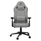Cougar Explore Royal Ash F Gaming Chair