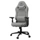 Cougar Explore Royal Ash F Gaming Chair