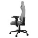 Cougar Explore Royal Ash F Gaming Chair