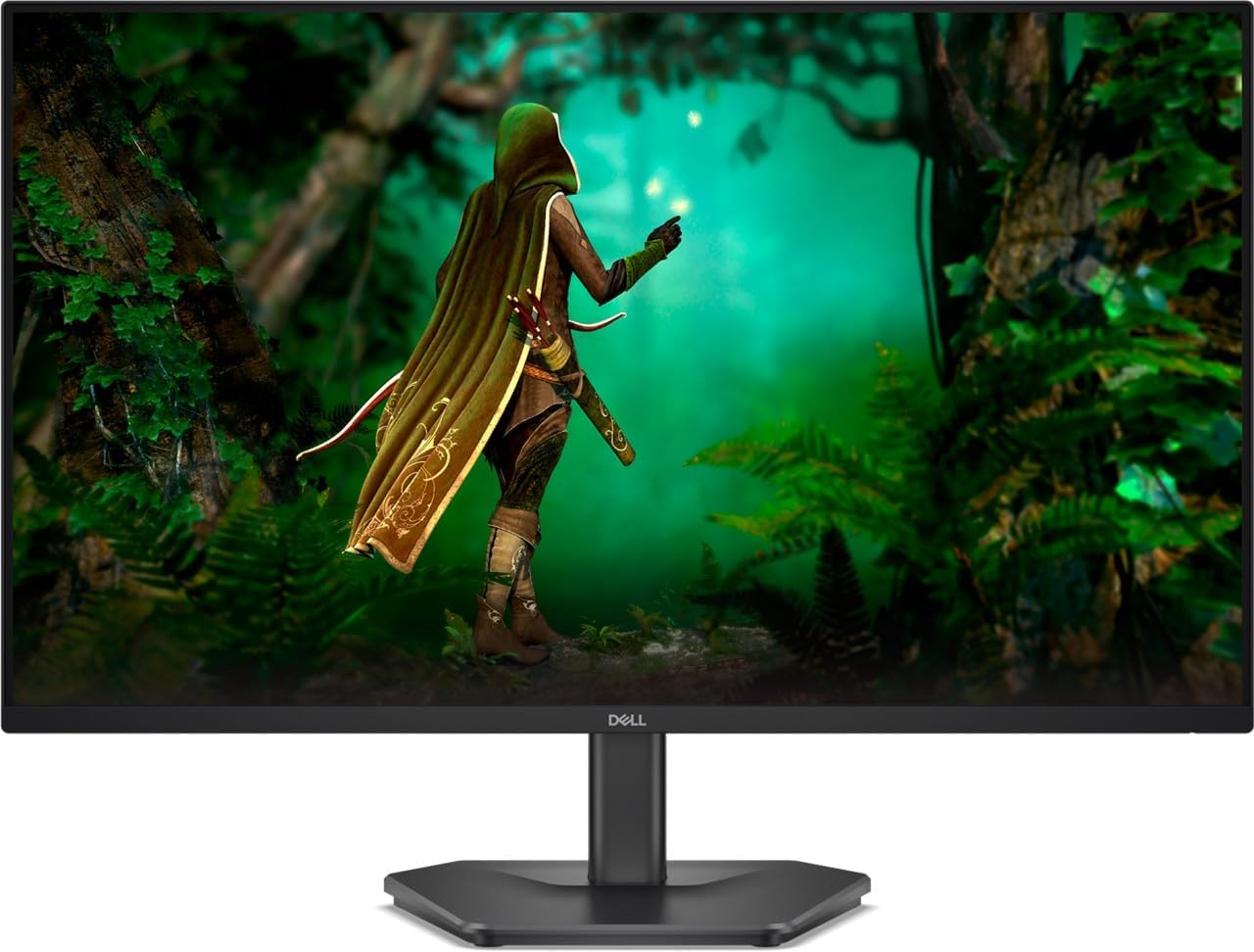 DELL SE2425HG - 24