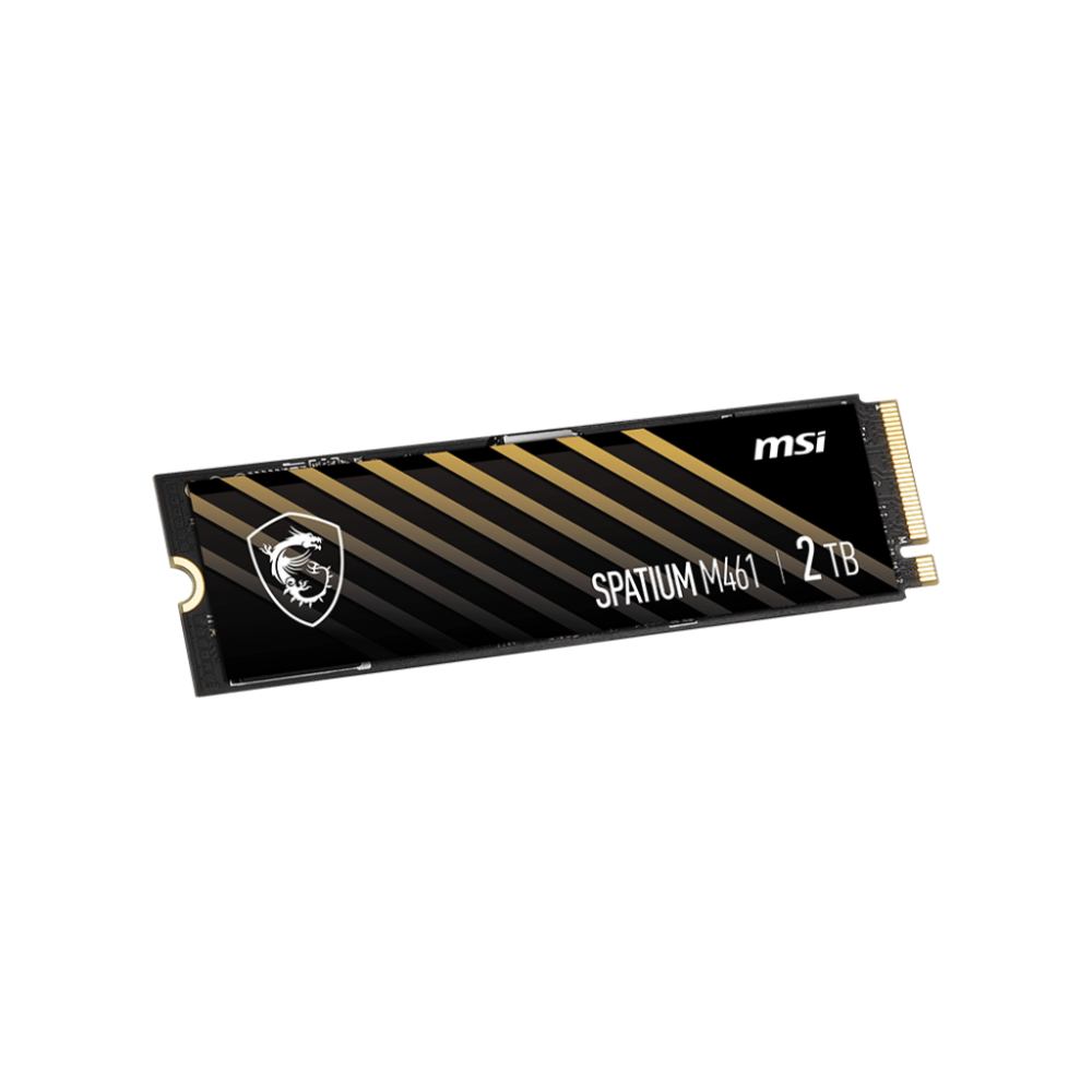 MSI SPATIUM M461 PCIe 4.0 NVMe M.2 2TB