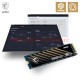 MSI SPATIUM M450 PCIe 4.0 NVMe M.2 SSD  (R3600 / W2300)