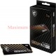 MSI SPATIUM M470 PRO PCIe 4.0 NVMe M.2 1TB