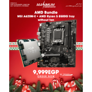 AMD Ryzen 5 8500G Tray (No Fan) + MSI PRO A620M-E