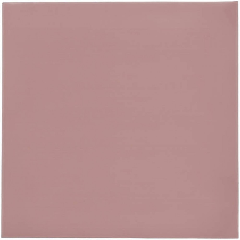 Thermal Grizzly Minus Pad 8 100x100x1.5mm Thermal Pad