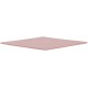 Thermal Grizzly Minus Pad 8 100x100x1.5mm Thermal Pad